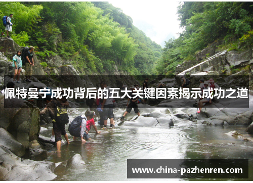 佩特曼宁成功背后的五大关键因素揭示成功之道