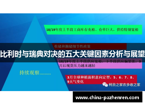 比利时与瑞典对决的五大关键因素分析与展望