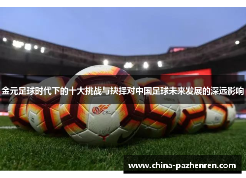 金元足球时代下的十大挑战与抉择对中国足球未来发展的深远影响