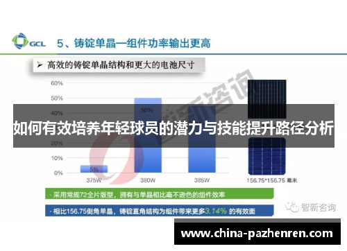 如何有效培养年轻球员的潜力与技能提升路径分析