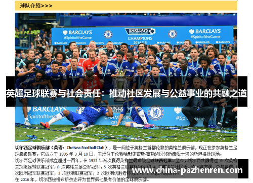 英超足球联赛与社会责任:推动社区发展与公益事业的共融之道 英超足球联赛与社会责任:推动社区发展与公益事业的共融之道