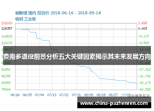 费南多退役前景分析五大关键因素揭示其未来发展方向 费南多退役前景分析五大关键因素揭示其未来发展方向